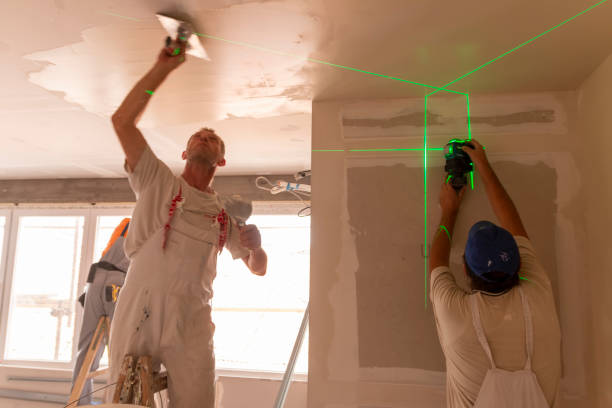 Best Drywall Sanding and Smoothing  in Caledonia, MS