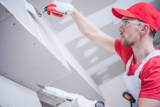 Best Fire-Damaged Drywall Repair  in Caledonia, MS